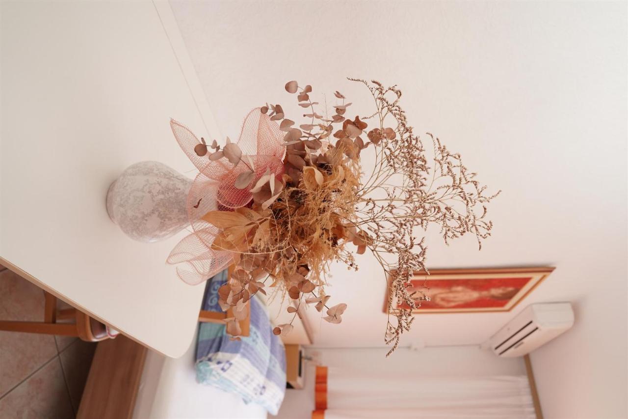 Apartments Mare トロギール エクステリア 写真